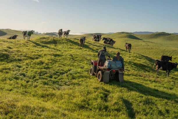 агро новини - 91514 бестселъри