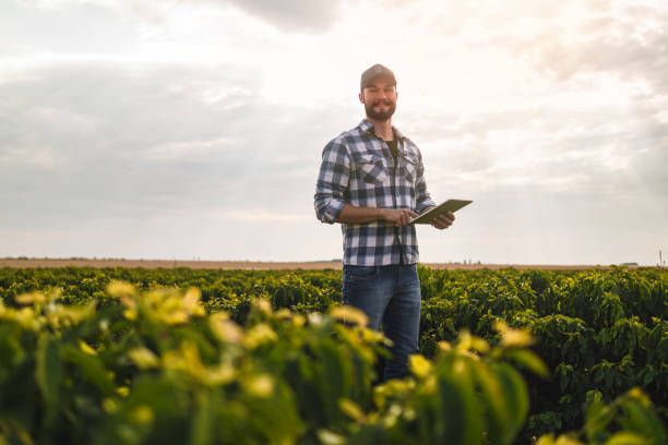 ДФЗ - 98748 възможности | agrovest.bg ДФЗ - 17339 възможности