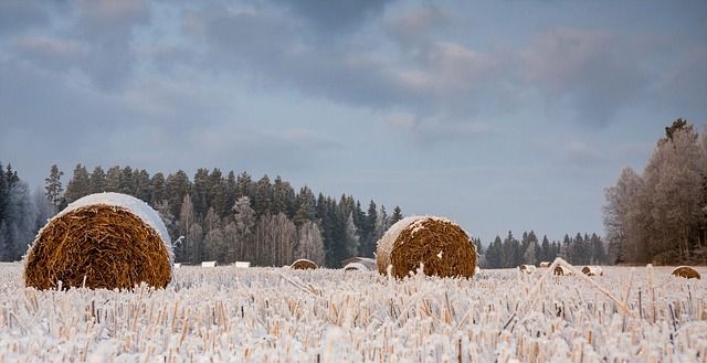 МЗХ - 69874 възможности | agrovest.bg МЗХ - 76729 възможности