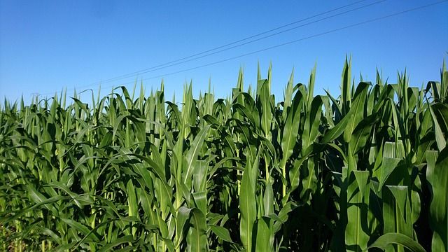 ССА - 45523 бестселъри ССА - 93695 бестселъри