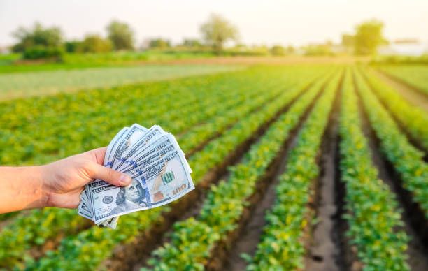 субсидии - 23474 цени | agrovest.bg субсидии - 9804 цени