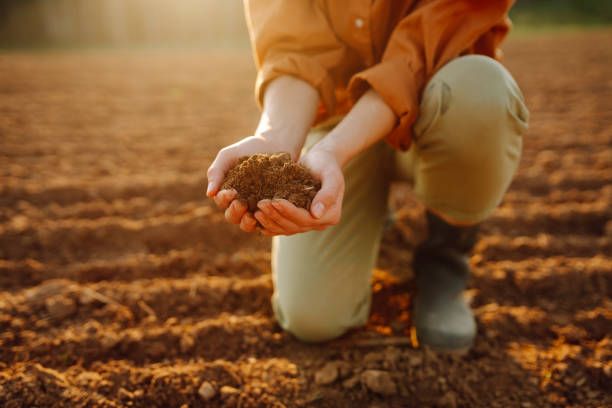 земеделие - 85832 вида | agrovest.bg земеделие - 72688 вида