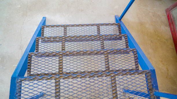 пресовани скари - 42575 вида