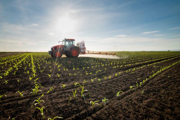 торове - 97525 комбинации | agrovest торове - 73975 комбинации